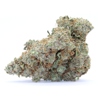 Presidential Pardon Flower - Image 2