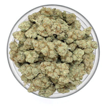 Presidential Pardon Flower - Image 3