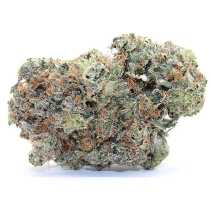 Rockstar Pink Flower (Gas)