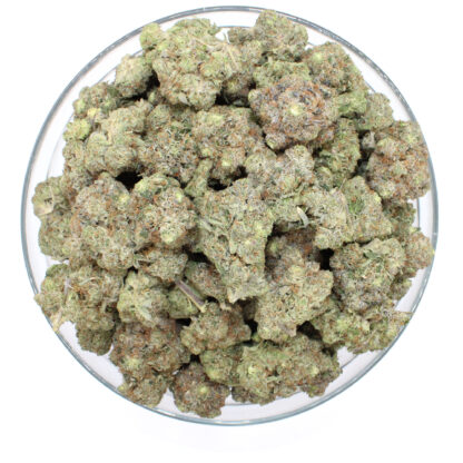 Rockstar Pink Flower (Gas) - Image 3