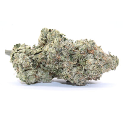 Rockstar Pink Flower