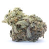 Scarlett Queen Flower (smalls) - Image 2