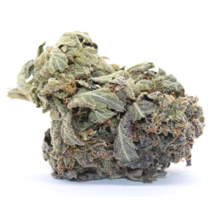 Scarlett Queen Flower (smalls) - Image 2
