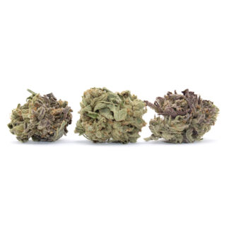 Scarlett Queen Flower (smalls)