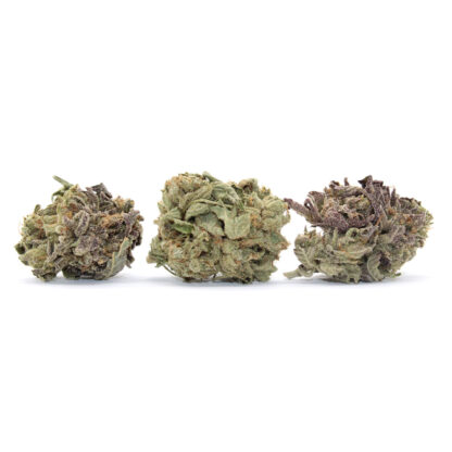 Scarlett Queen Flower (smalls)