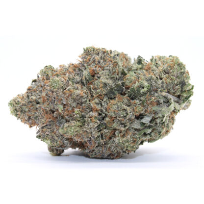 Scooby Snacks Flower - Image 2