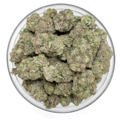 Scooby Snacks Flower - Image 3