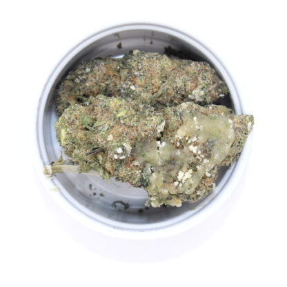 Space Cadets - Sparkly Star - Image 3
