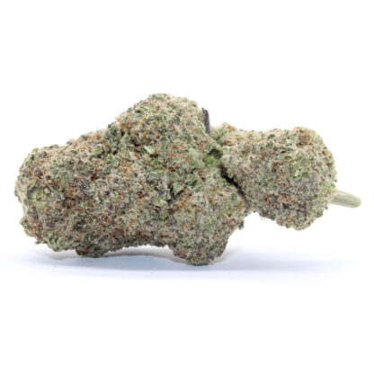White Widow Flower - Image 2