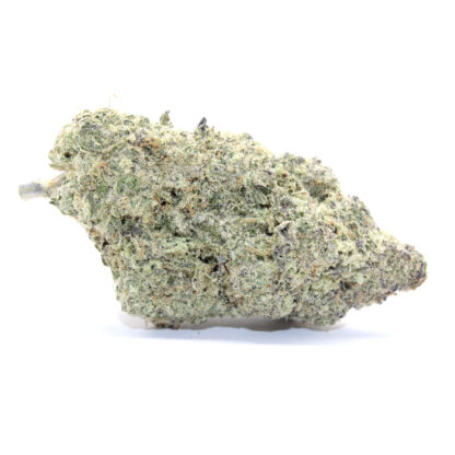 Banana Daddy Flower