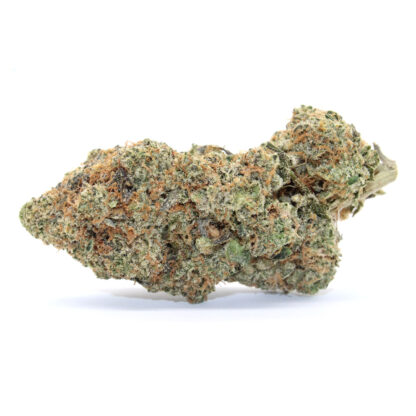 Pink Rockstar Flower