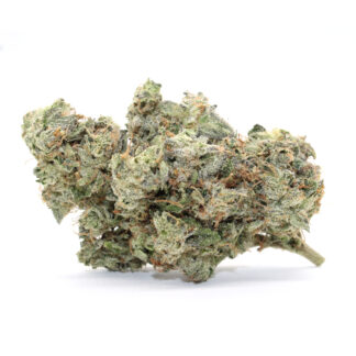 Royal Gorilla Flower