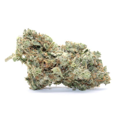 Royal Gorilla Flower - Image 2