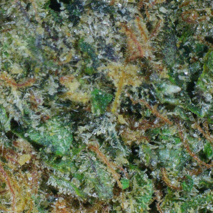 Banana Blaze Flower - Image 4