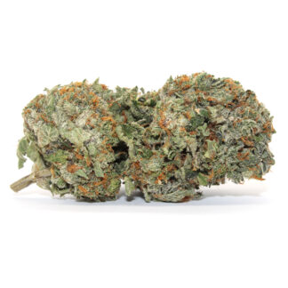 Aussie Blue Flower