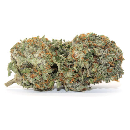 Aussie Blue Flower