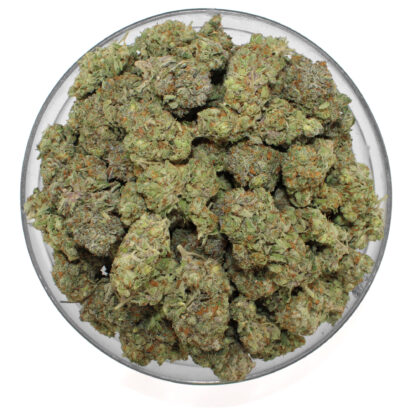 Aussie Blue Flower - Image 3