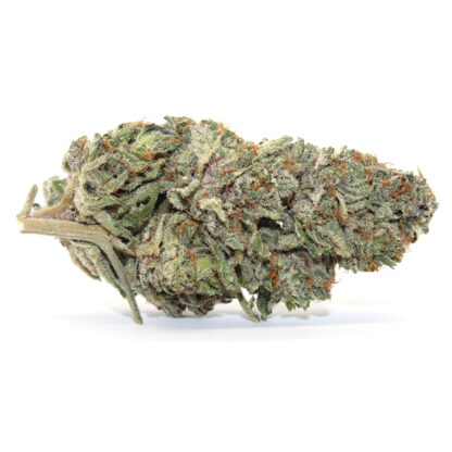 Aussie Blue Flower - Image 2