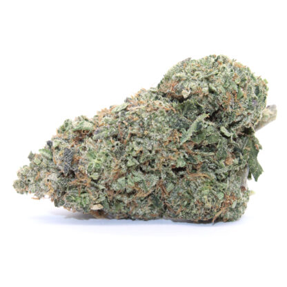 Banana Blaze Flower