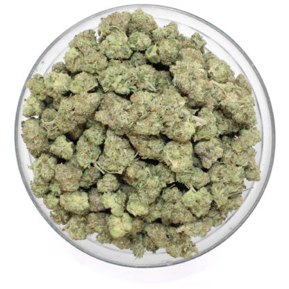 Banana Blaze Flower - Image 3