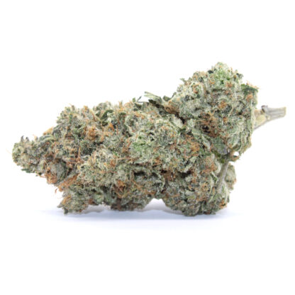 Banana Blaze Flower - Image 2