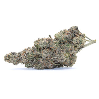 Blueberry Lemonade Flower