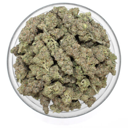 Blueberry Lemonade Flower - Image 3