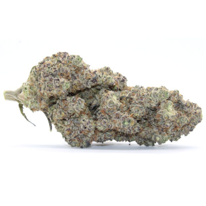 Hawaiian Snow Flower - Image 2