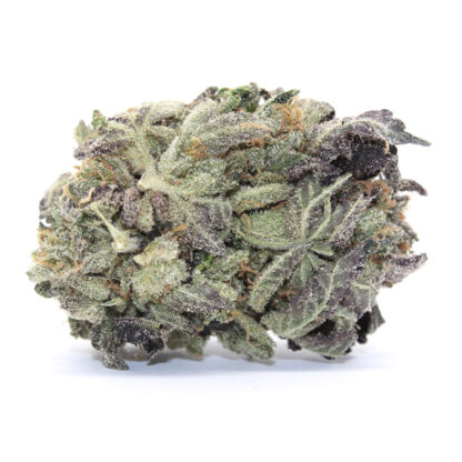 Purple Queen Flower - Image 2