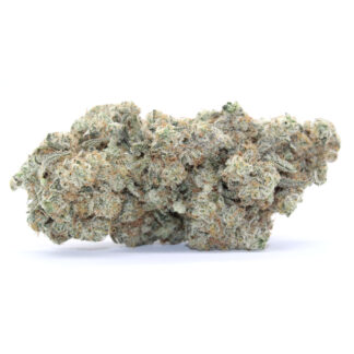 Dutch Treat Flower