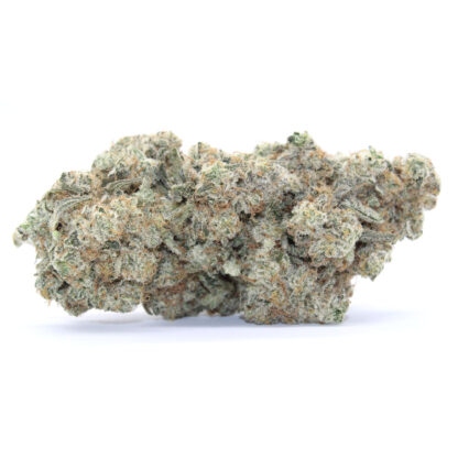 Dutch Treat Flower