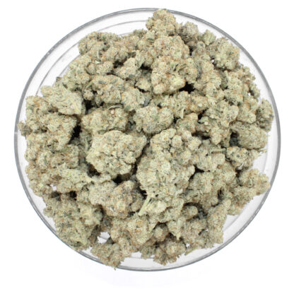 Dutch Treat Flower - Image 3