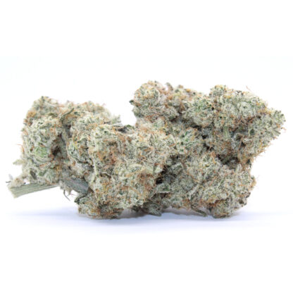 Dutch Treat Flower - Image 2