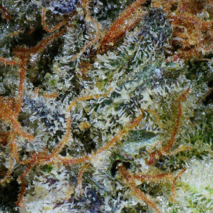 Death Star Flower (Gas) - Image 4