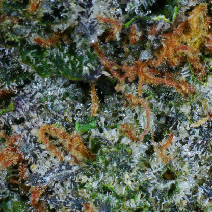 Original Tuna Flower (Gas) - Image 4