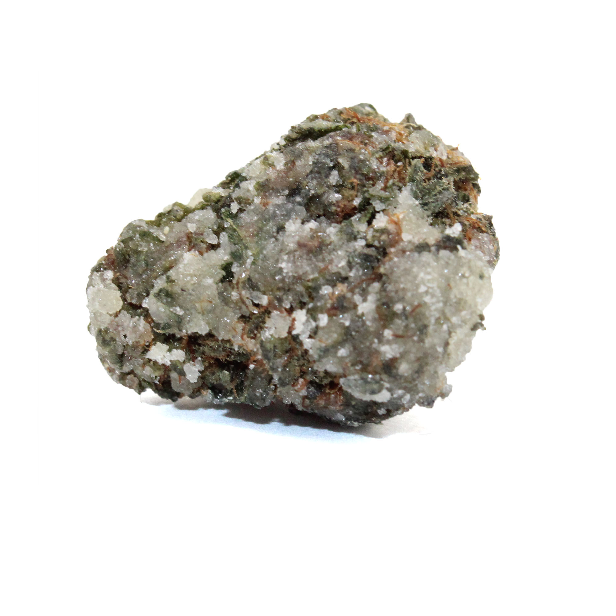 Space Cadets Tigers Blood Champagne 1 Space Cadets Tigers Blood Champagne