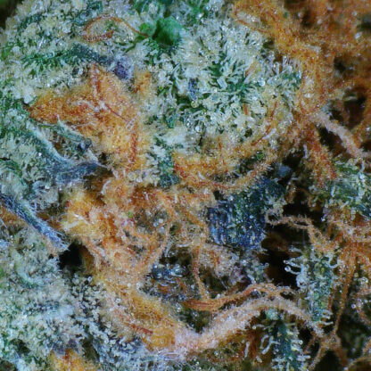 Space Lube Flower - Image 4