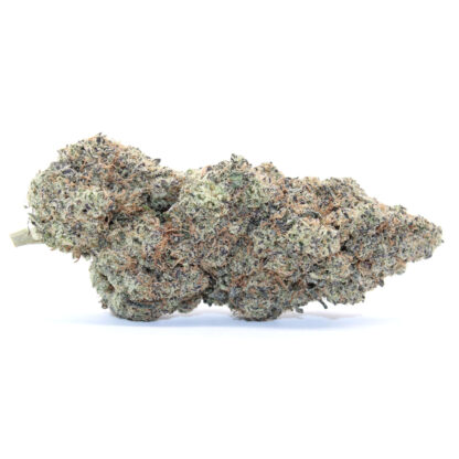 Blackberry Cream Flower - Image 2