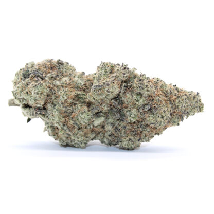 Blackberry Cream Flower