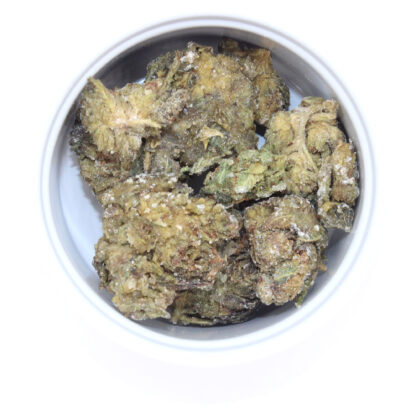 Space Cadets Dragon's Breath - Image 3