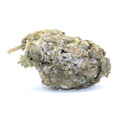 Space Cadets Dragon's Breath - Image 2