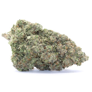 Flava Flav Flower