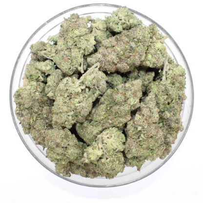 Flava Flav Flower - Image 3