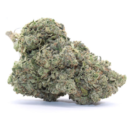Flava Flav Flower - Image 2