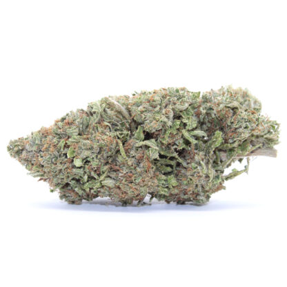Gelato Flower - Image 2