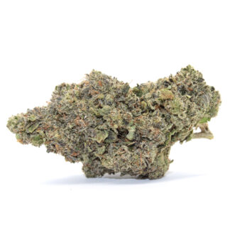 Lockdown Flower