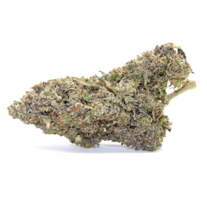 Lockdown Flower - Image 2