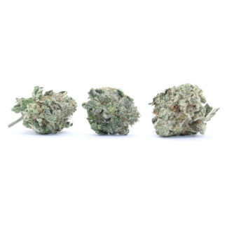 Medi-Bomb Flower (Smalls)