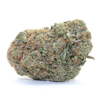 Original Tuna Flower (Gas)