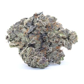 Purple Pine Cone Flower (gas)